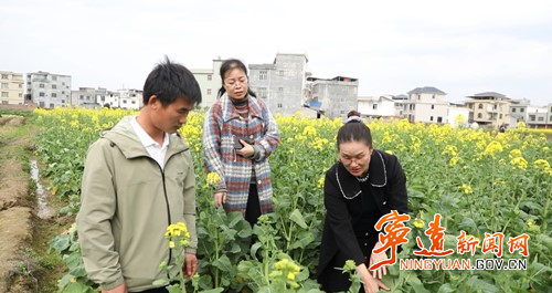 宁远：农技人员田间支招 护航油菜稳产增收_副本500.jpg