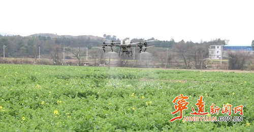 宁远：农技人员田间支招 护航油菜稳产增收3_副本500.jpg