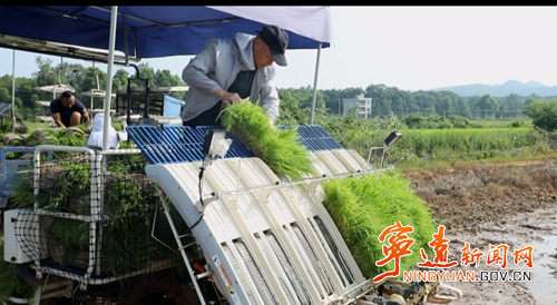 【拼经济·抓项目·促发展】宁远:“科技+服务”助力晚稻生产提质增效2_副本500.png 【拼经济·抓项目·促发展】宁远:“科技+服务”助力晚稻生产提质增效2_副本500.png