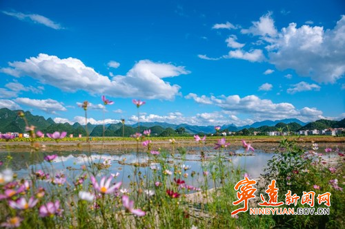 宁远:九嶷山生态美 摄影赛夺四奖_副本500.jpg 宁远:九嶷山生态美 摄影赛夺四奖_副本500.jpg