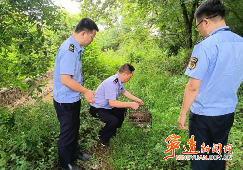 宁远县森林公安局联合多部门开展野生动物保护宣传和执法检查行动_副本500.jpg 宁远县森林公安局联合多部门开展野生动物保护宣传和执法检查行动_副本500.jpg