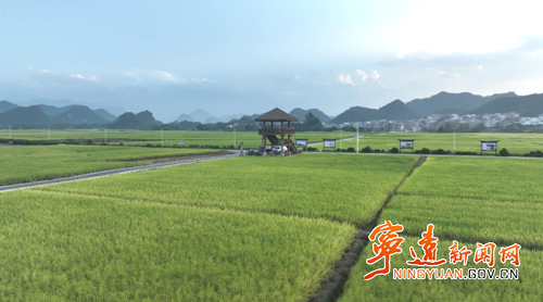 宁远:“一山一城”绘就生态惠民新图景_副本500.png 宁远:“一山一城”绘就生态惠民新图景_副本500.png