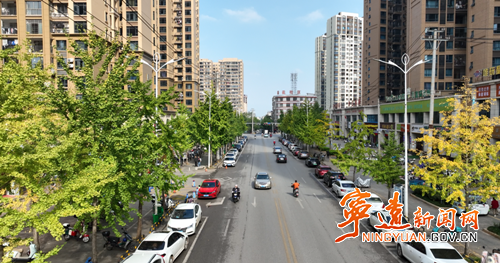 宁远:银杏染城绘就秋冬诗意画卷_副本500.png 宁远:银杏染城绘就秋冬诗意画卷_副本500.png