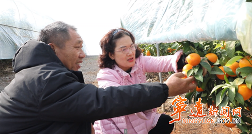 宁远：精准施策筑防线 防寒保产稳增收3_副本500.png