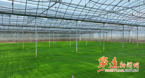 宁远:早稻插秧正当时 机械化赋能春耕忙2_副本500.png 宁远:早稻插秧正当时 机械化赋能春耕忙2_副本500.png