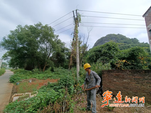 国网宁远县供电公司：开展树藤清障 筑牢线路安全屏障_副本500.jpg