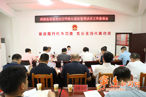 胡勇刚在舜陵街道莲花社区调研网格化管理服务改革试点工作2_副本500.jpg