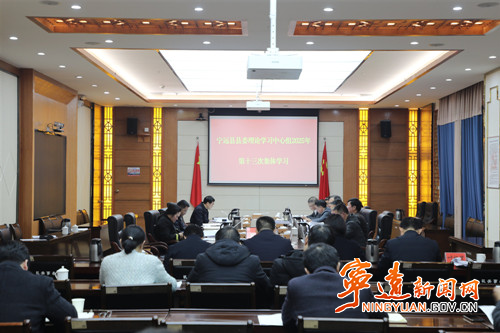 宁远县委理论学习中心组举行2025年第十三次集体学习_副本500.jpg