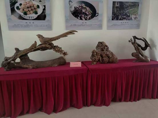 84a3a12afb79c262aea9155e0ef81a26 84a3a12afb79c262aea9155e0ef81a26