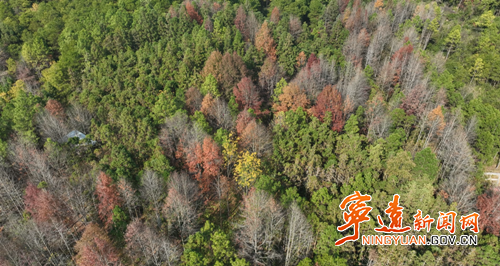 宁远 县桐木漯瑶族乡:枫叶风车相映景 生态瑶乡入画来_副本500.png 宁远 县桐木漯瑶族乡:枫叶风车相映景 生态瑶乡入画来_副本500.png