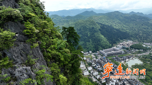 【美景不远·就在宁远】宁远：娥皇峰千年石枞苍劲迎客2_副本500.jpg