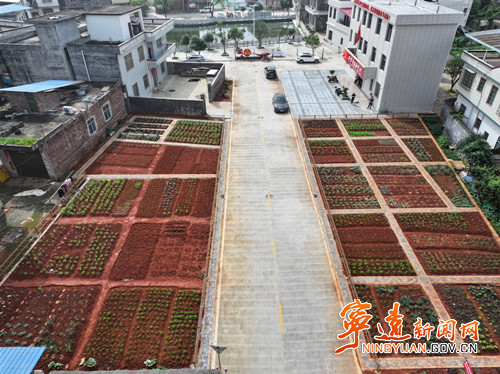 宁远:方寸小菜园 甜了村民 美了村庄_副本500.jpg 宁远:方寸小菜园 甜了村民 美了村庄_副本500.jpg