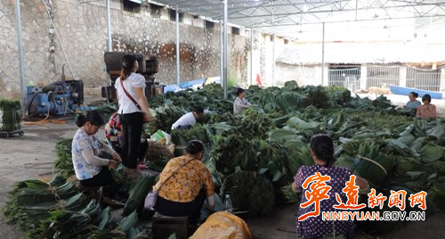 宁远茶罗村:种植粽叶有奖励 签订协议不愁销3_副本500.jpg 宁远茶罗村:种植粽叶有奖励 签订协议不愁销3_副本500.jpg