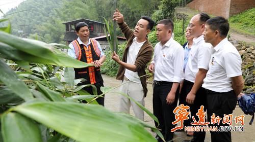 宁远茶罗村:种植粽叶有奖励 签订协议不愁销2_副本500.jpg 宁远茶罗村:种植粽叶有奖励 签订协议不愁销2_副本500.jpg