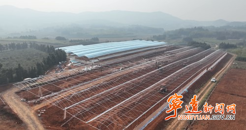 宁远:蔬菜产业助力乡村发展2_副本500.jpg 宁远:蔬菜产业助力乡村发展2_副本500.jpg