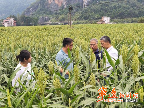 宁远:“小院”铺就科技路3_副本500.jpg 宁远:“小院”铺就科技路3_副本500.jpg