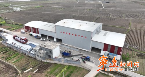 宁远水市镇：集中育秧托管 种粮开启“轻松模式”3_副本500.jpg