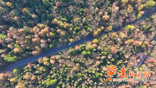 宁远:舜源峰“枫”景醉人2_副本500.png 宁远:舜源峰“枫”景醉人2_副本500.png