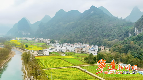 宁远：东江村千亩花海绽放 音乐节即将启幕_副本500.png