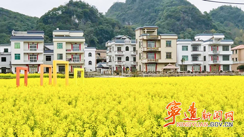 宁远：东江村千亩花海绽放 音乐节即将启幕3_副本500.png