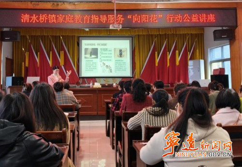 宁远县清水桥镇：“向阳花”开讲 助力乡村孩子向阳而生_副本500.jpg