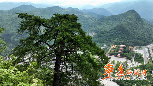 【美景不远·就在宁远】宁远：娥皇峰千年石枞苍劲迎客_副本500.jpg