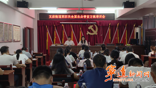 宁远县文庙街道：“培训+宣传”双轮驱动  筑牢“四农普”工作基础_副本500.jpg