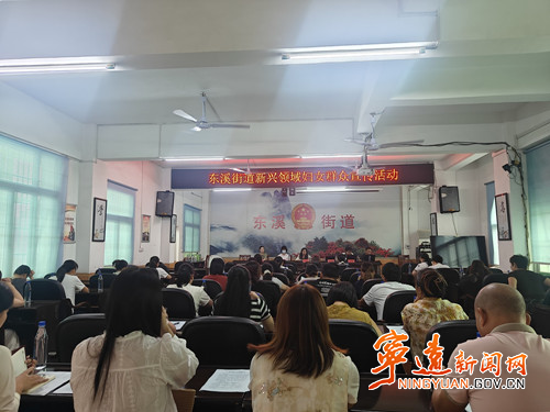 宁远县东溪街道：开展新兴领域妇女专题宣讲活动_副本_副本500.jpg