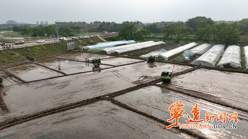 宁远召开2024年早稻专业化集中栽插现场会暨牛蛙养殖专项整治动员会_副本500.jpg 宁远召开2024年早稻专业化集中栽插现场会暨牛蛙养殖专项整治动员会_副本500.jpg