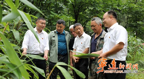 宁远:头雁争鸣 推进乡村全面振兴_副本500.jpg 宁远:头雁争鸣 推进乡村全面振兴_副本500.jpg