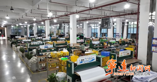 宁远:更新智能设备 推动企业转型升级发展_副本500.jpg 宁远:更新智能设备 推动企业转型升级发展_副本500.jpg