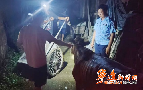 宁远公安：无人机+热成像 丢失的牛找到了_副本500.jpg