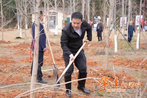 毛政 林亮亮参加义务植树活动2_副本500.jpg 毛政 林亮亮参加义务植树活动2_副本500.jpg