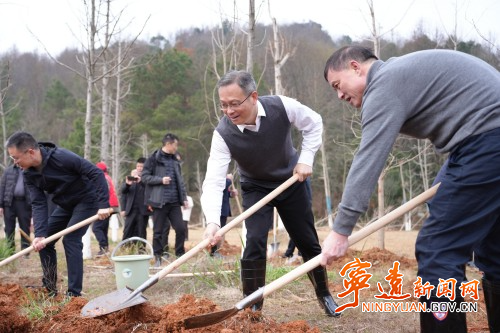 毛政 林亮亮参加义务植树活动1_副本500.jpg 毛政 林亮亮参加义务植树活动1_副本500.jpg