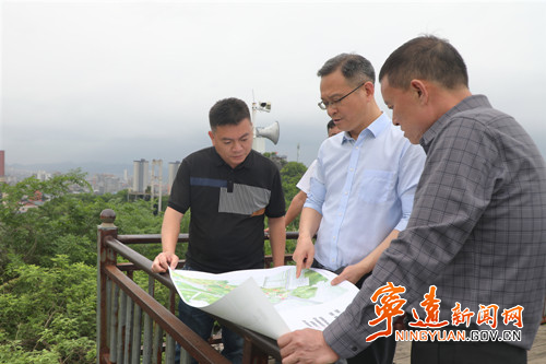 毛政调研绿化提质改造工作_副本500.jpg