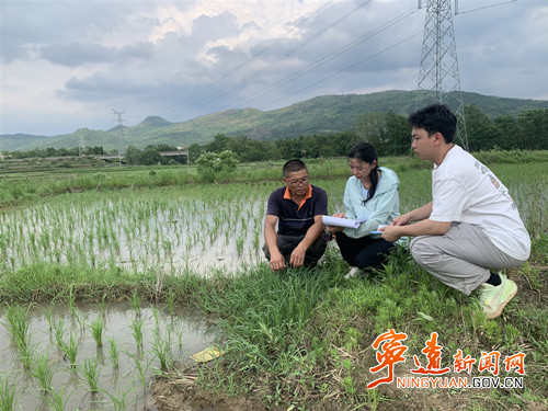 宁远:科技特派员田间地头开展科技服务_副本500.jpg 宁远:科技特派员田间地头开展科技服务_副本500.jpg