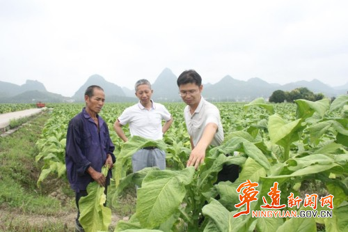 宁远：科技小院助农兴农铺就致富路1_副本500.jpg