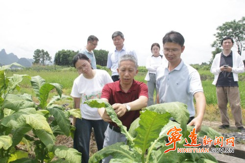 宁远：科技小院助农兴农铺就致富路3_副本500.jpg