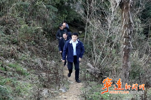 胡勇刚深入清水桥镇调研古树名木保护工作_副本500.jpg 胡勇刚深入清水桥镇调研古树名木保护工作_副本500.jpg