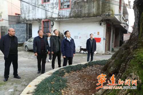 胡勇刚深入清水桥镇调研古树名木保护工作2_副本500.jpg 胡勇刚深入清水桥镇调研古树名木保护工作2_副本500.jpg