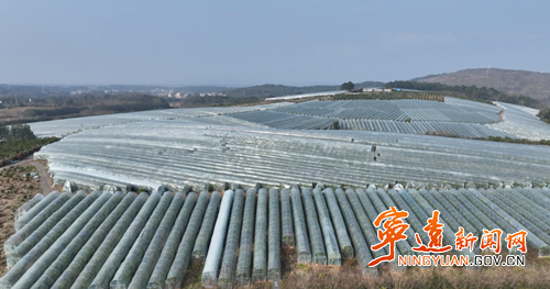 宁远：精准施策筑防线 防寒保产稳增收_副本500.png