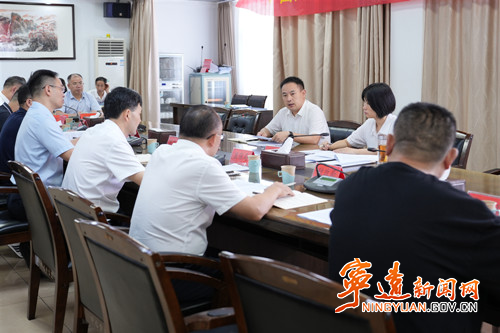 宁远召开全县“三医一张网”建设暨医保基金管理突出问题专项整治工作推进会_副本500.jpg