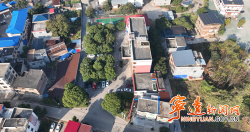 宁远县中和镇：党建引领聚合力 古村蝶变展新颜_副本500.png