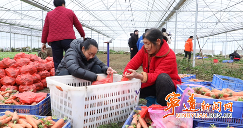 宁远：直播带货+爱心慰问 公益助农暖乡村_副本500.png