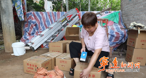 【永冲锋·拼经济·促发展】宁远黄金奈李迎丰收 产销两旺助增收3_副本500.png