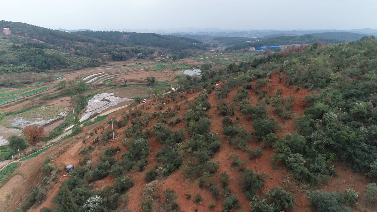 大村甸套种3.bmp 大村甸套种3.bmp