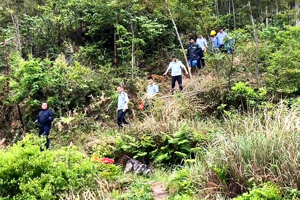 公安3_副本.jpg 公安3_副本.jpg