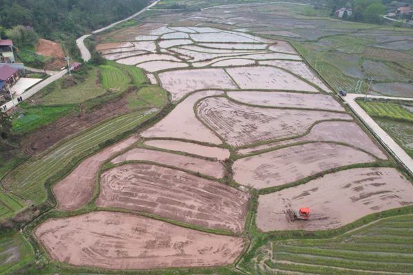 五里牌镇：春耕2 (1)_副本.png