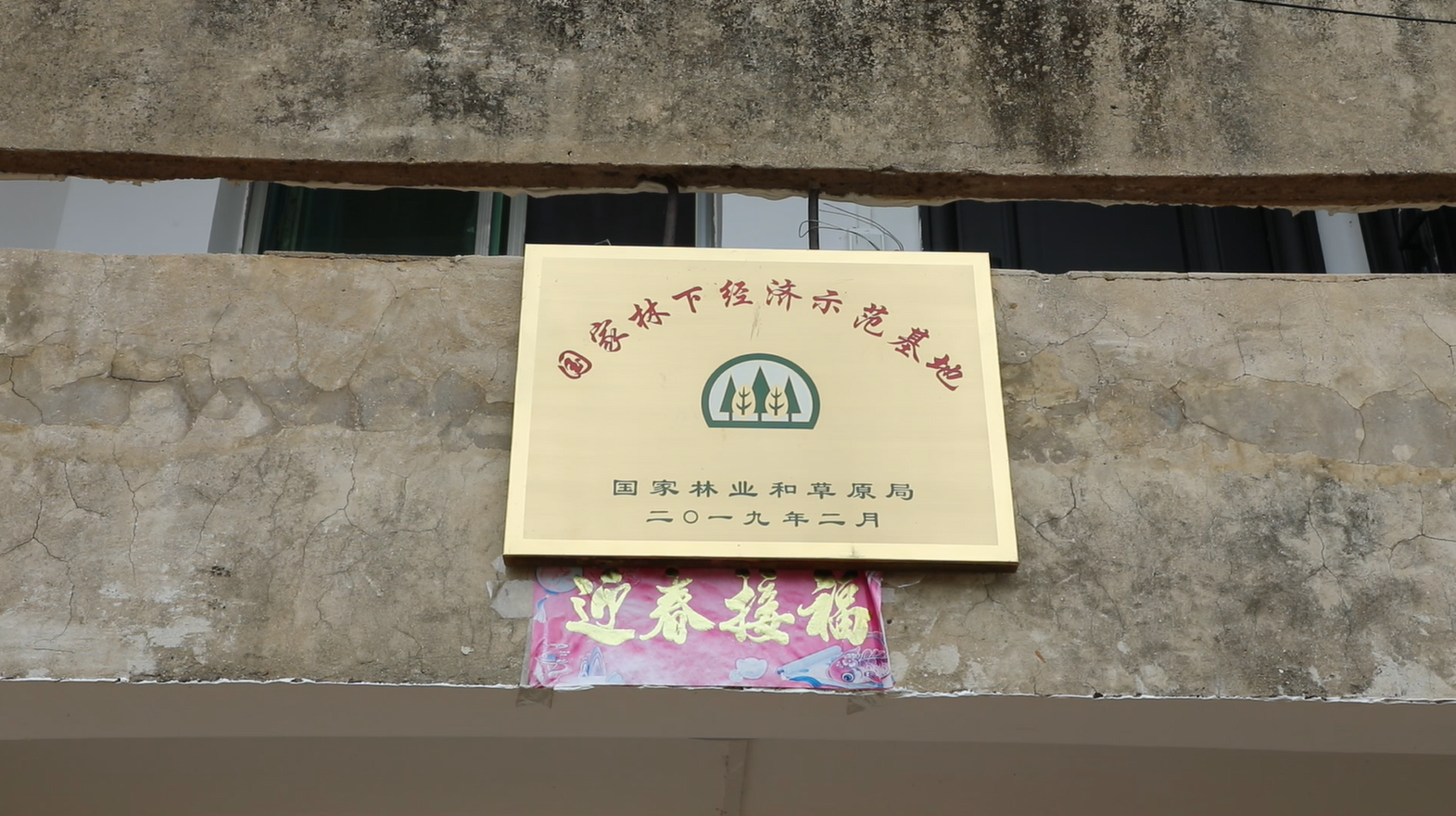 梅花鹿4.png 梅花鹿4.png