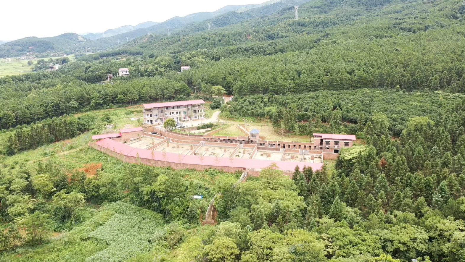 梅花鹿5.png 梅花鹿5.png